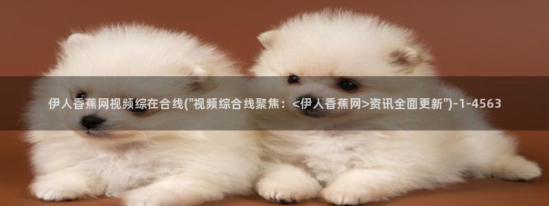 伊人久久影院888