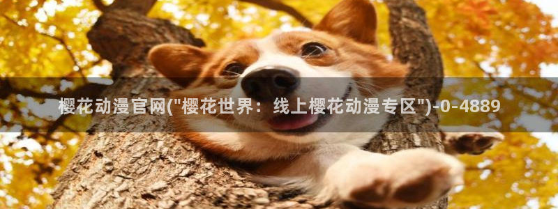 风之动漫