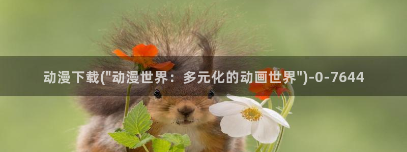 动漫小说