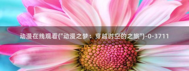 h动漫