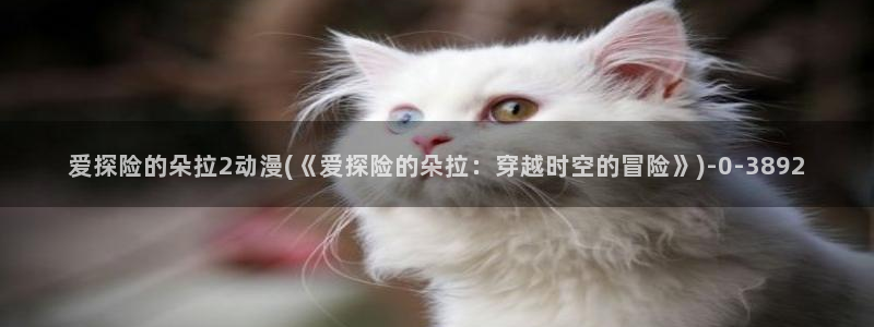 age动漫