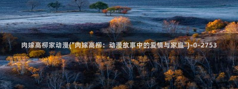 动漫节